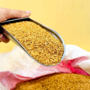 محصول نمونه 11