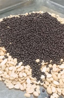 کره بادوم زمینی