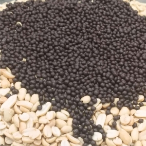 کره بادوم زمینی